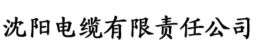 国产精品毛片a∨一区二区三区电缆厂logo